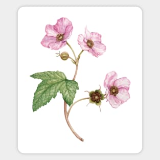 Pink Watercolor Flowering Raspberry Magnet